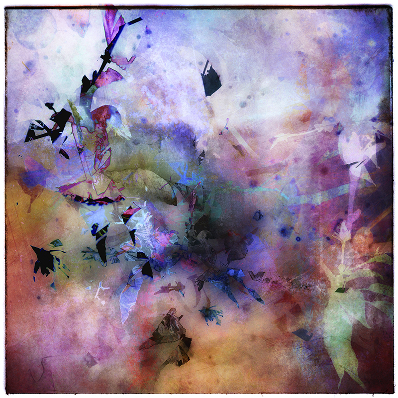 Untitled Artwork Untitled Artwork